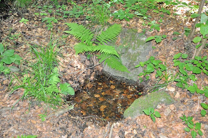 studánka U Lubenských pasek (9885)