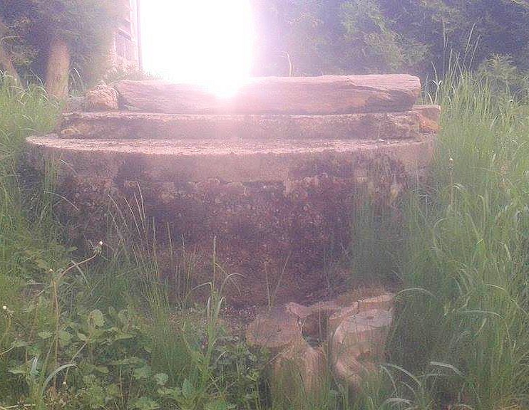 studánka bez jména (9896)
