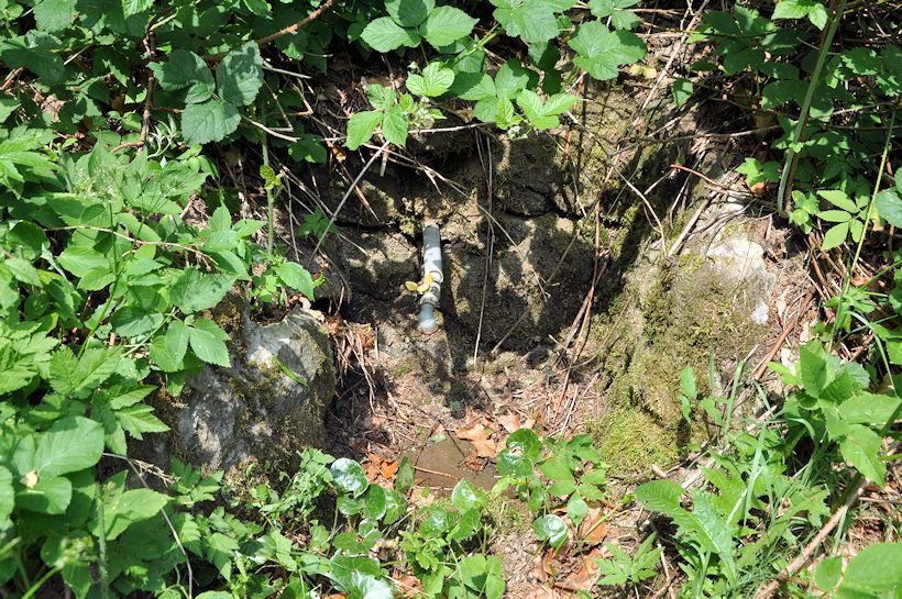 studánka Pod lesem (9899)