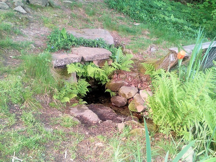 studánka U dobré vody (9906)