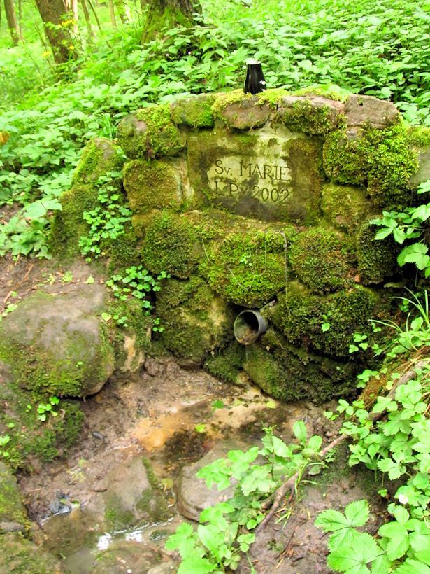Studánka sv. Marie (9908)