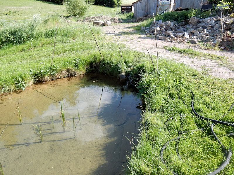 Vondrův pramen (9919)