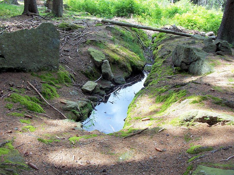 studánka U mravenčí stezky (9923)