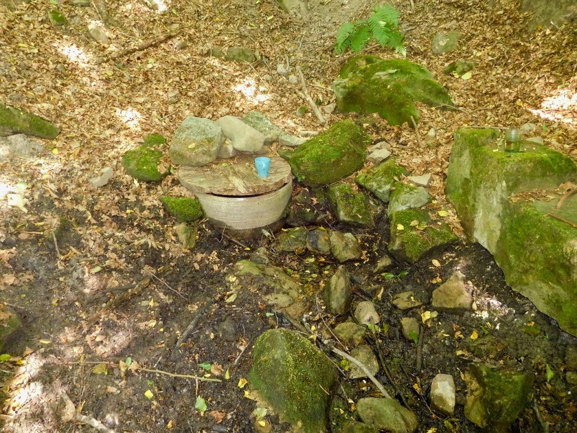 Myslivecká studánka (9927)