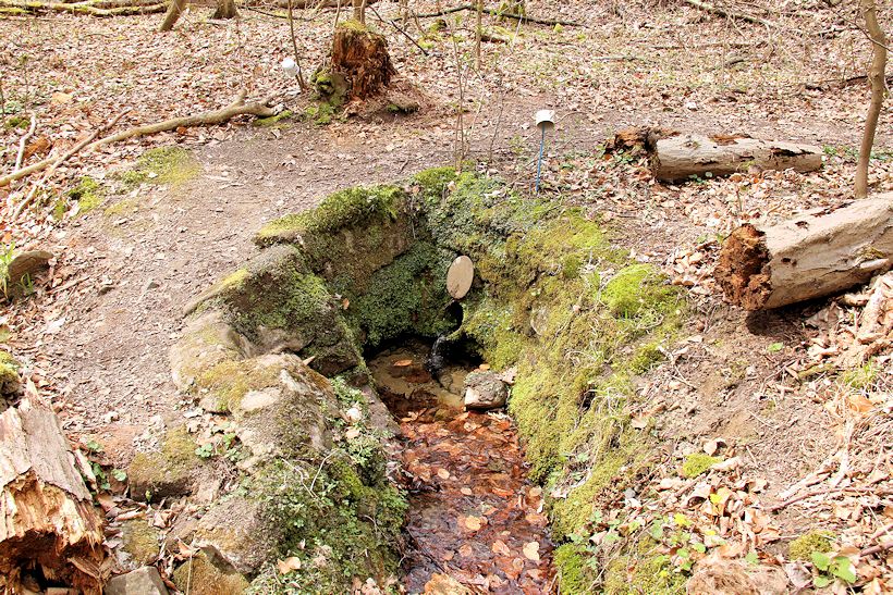 studánka Na Salašském potoce (9929)