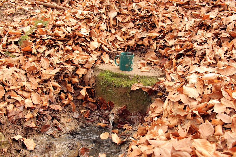 studánka Pod Rákošem (9930)