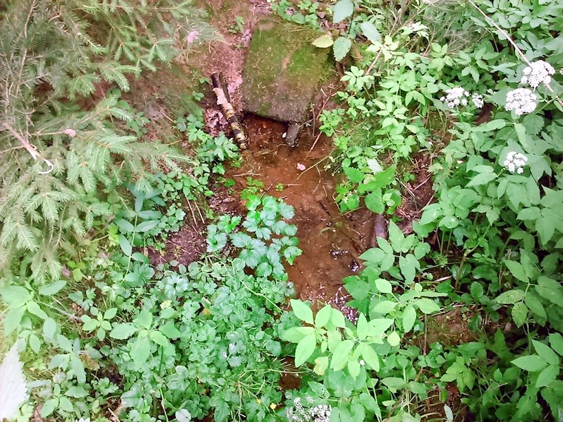studánka Za Lesy (9942)