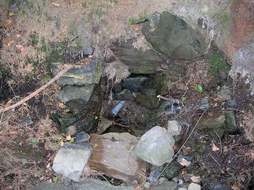 pramen Prdlavá studánka (9947)