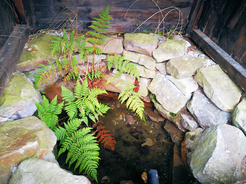 studánka Pod Ohrádkou (9948)