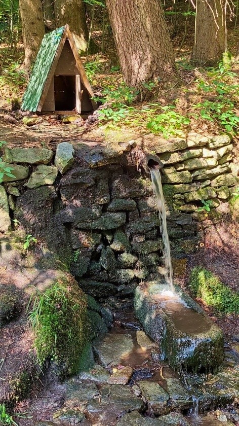 studánka Pod Vysokou (9949)