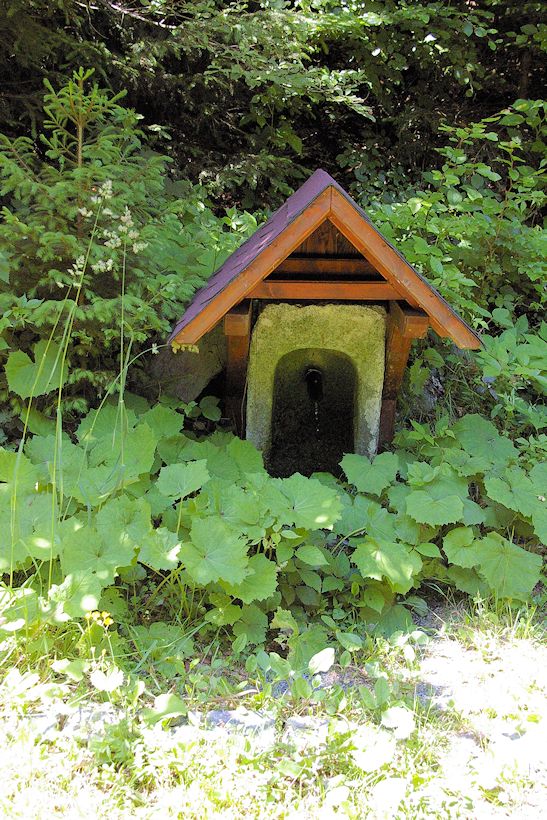 studánka Palečkova (9950)