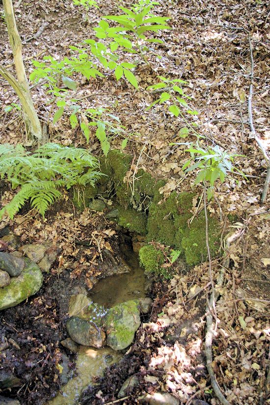 studánka Pod dubem (9952)