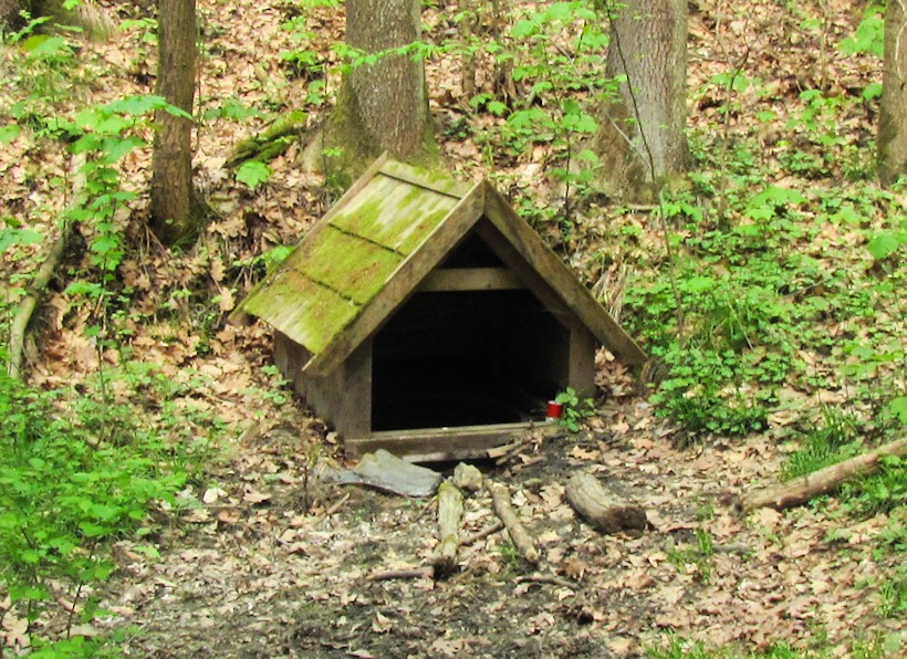 studánka bez jména (9955)