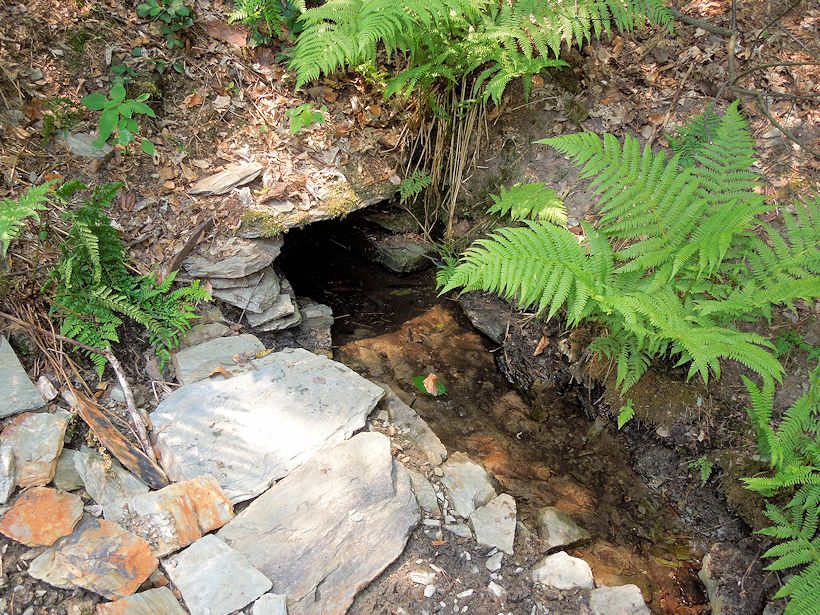 Studánka u Tažných ptáků (9956)