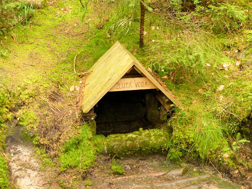 studánka Žlutá voda (9981)