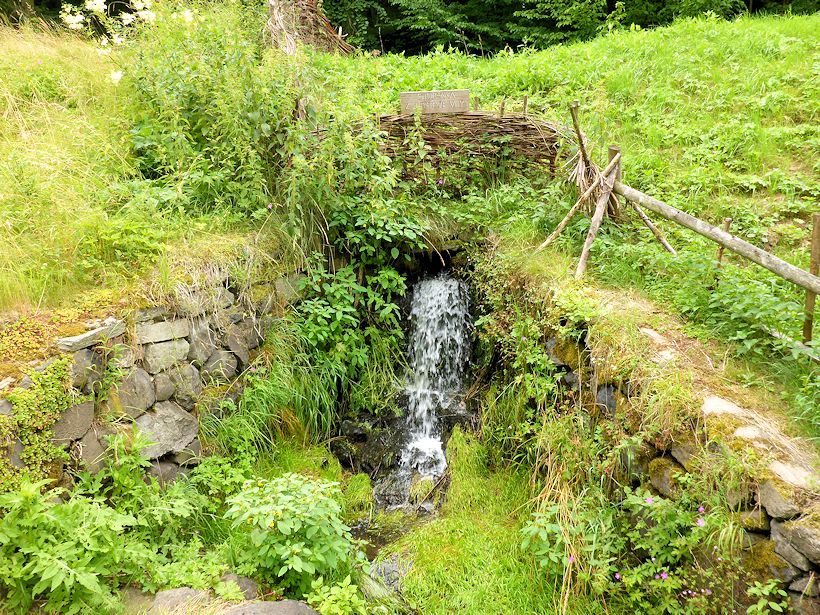 studánka Z Dešťové víly (9995)