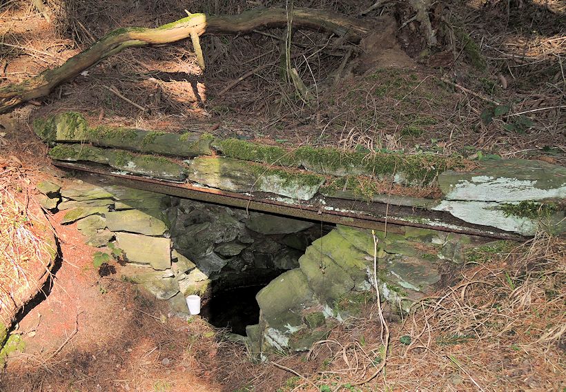 Lesní studánka  (10506)