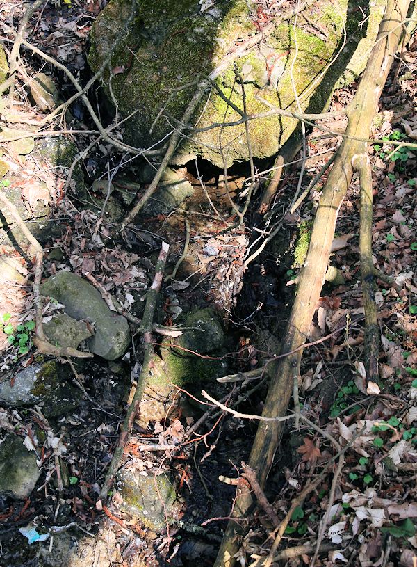 pramen Nad Hájiskem (10517)