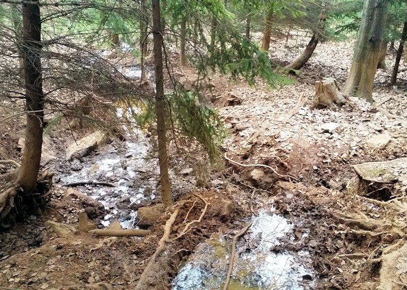 prameniště bez jména (10528)
