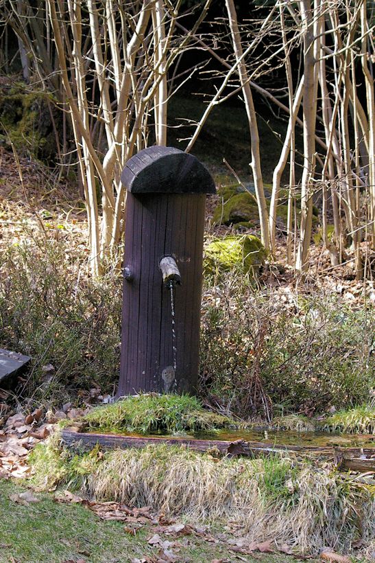 studánka bez jména (10550)
