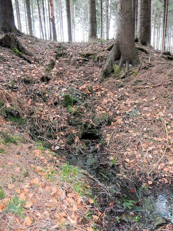 studánka Nad vyhořelým srubem (10557)