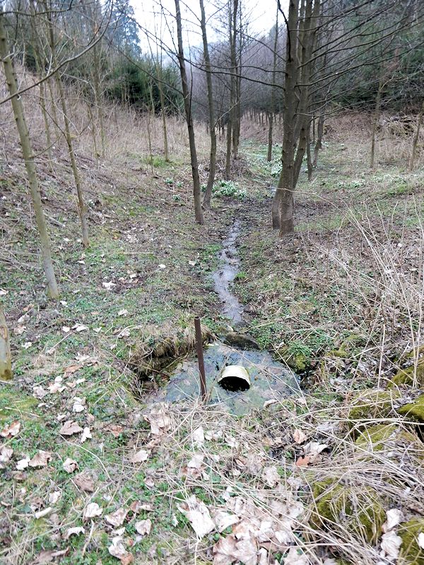 Kočtinská studánka (10559)