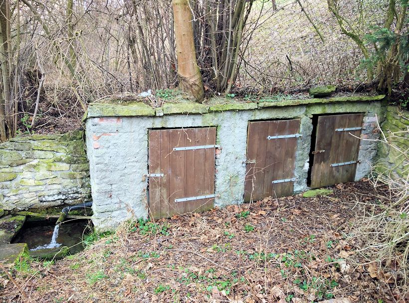 studánka Pod starým mlýnem (10562)