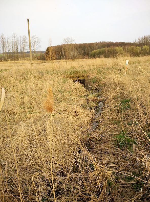pramen Nad Hvězdičkou (10571)