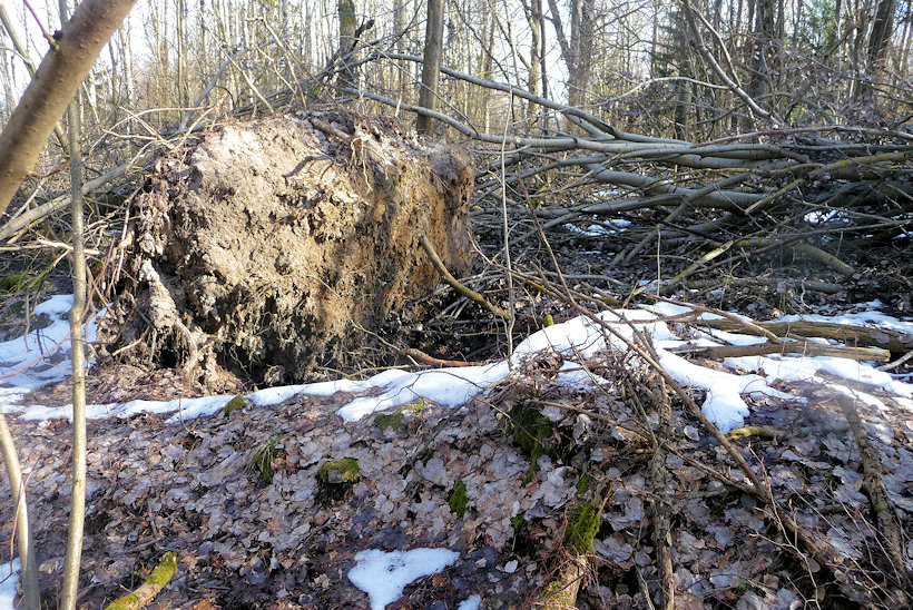 studánka Holčičí pramen (10573)