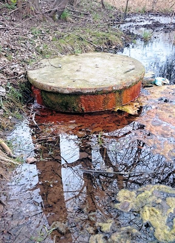 studánka U paní Lídy (10577)