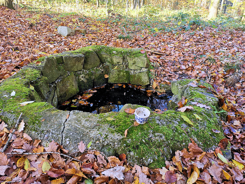 studánka U Králova stolu (10578)