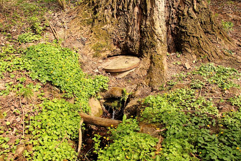 studánka V Soudných (10580)