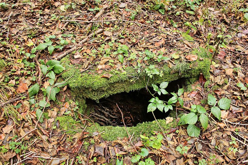 Machova studánka (10582)