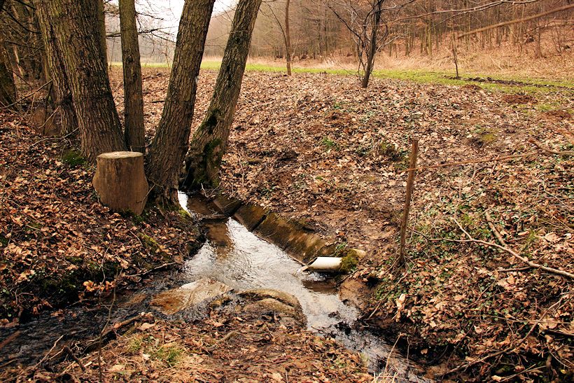 studánka Panenská (10583)