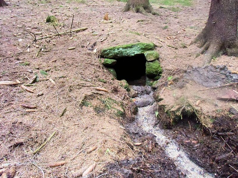 studánka Vraní Kout (10587)