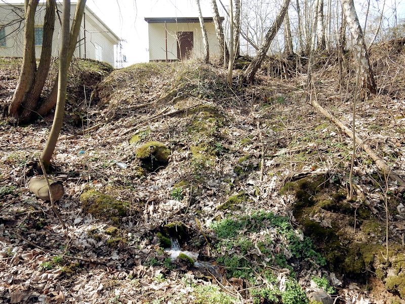 jiný vodní zdroj Pacovka (10591)