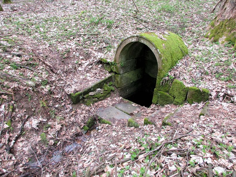 studánka Pod Krumwaldem (10593)