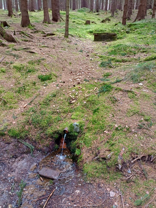 studánka bez jména (10594)