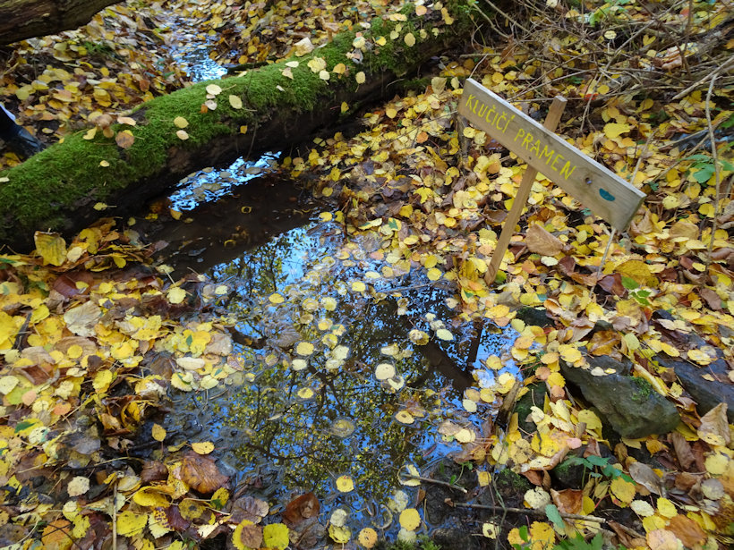 Klučičí pramen (10597)