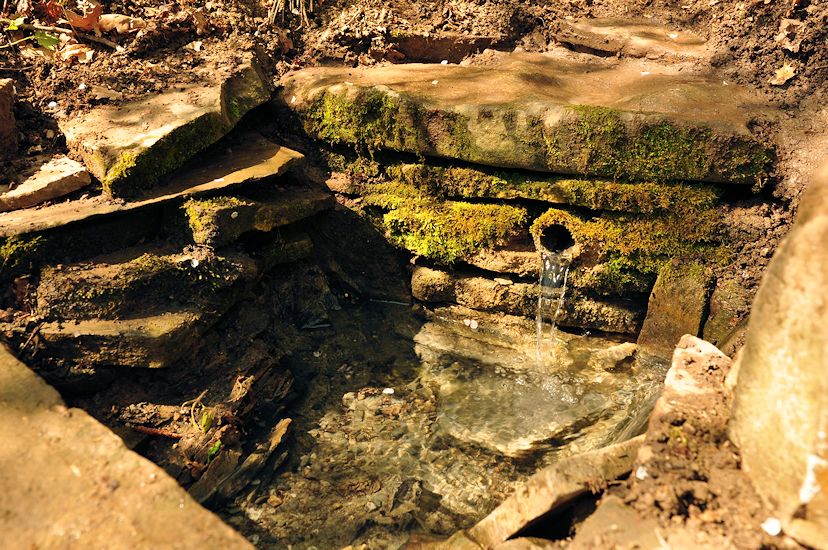 studánka U Dřevojanky (10601)