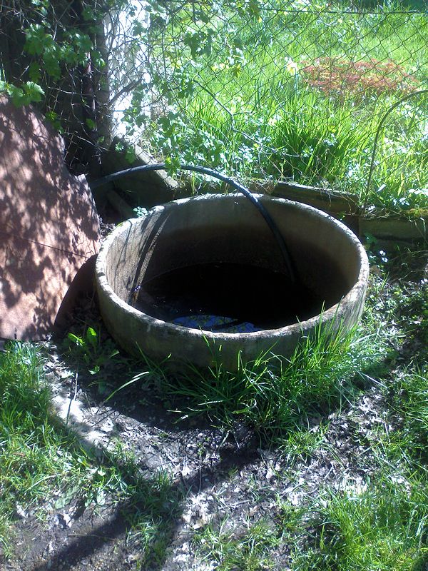 studánka bez jména (10611)