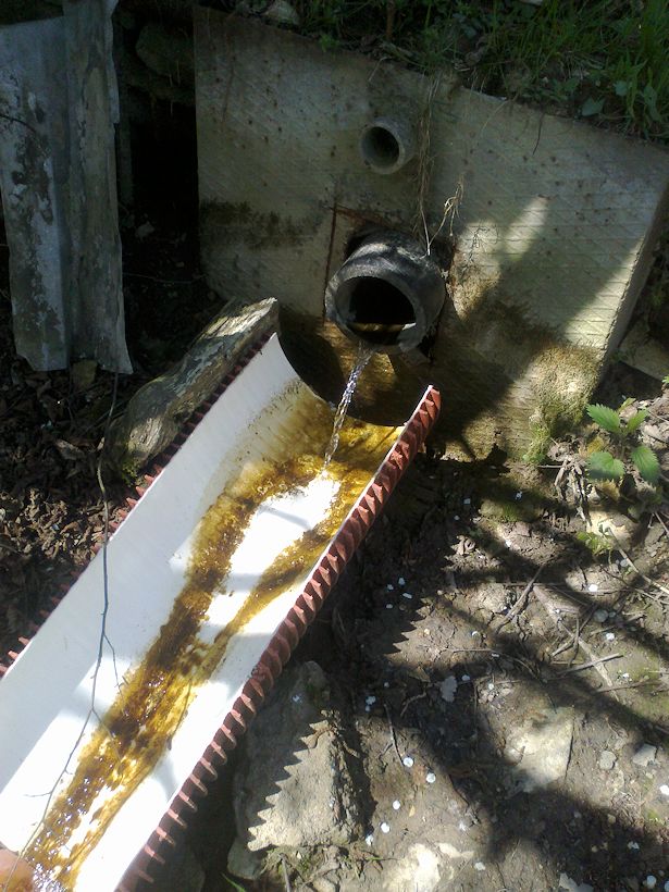 studánka bez jména (10613)