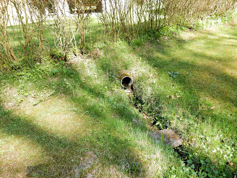studánka Pod chatou 1 (10624)