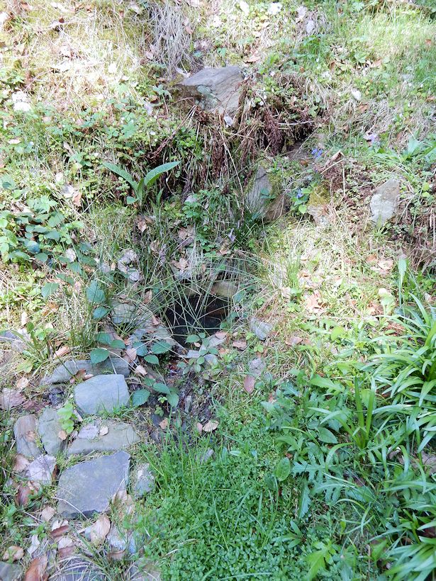 studánka Pod chatou 2 (10625)