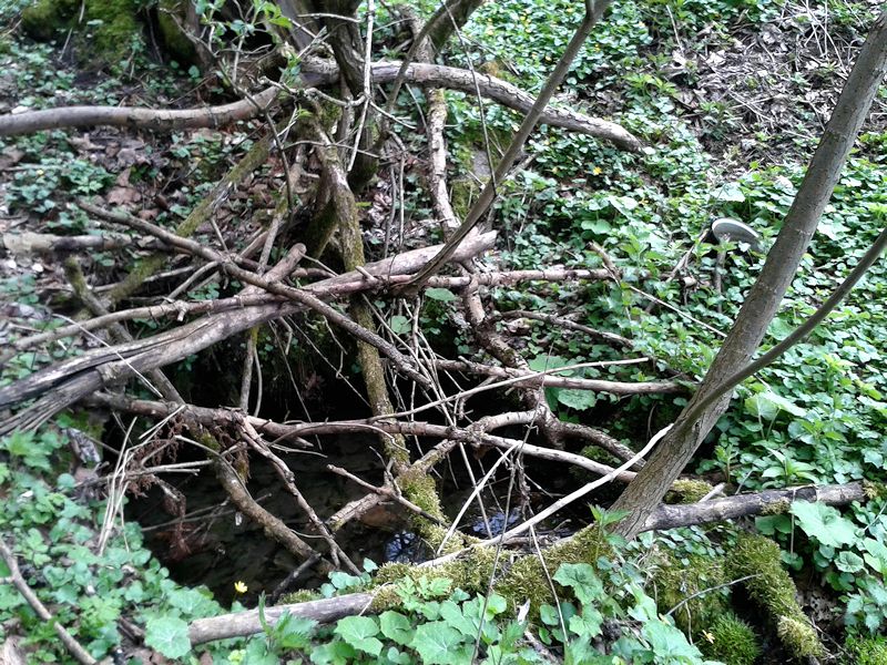 studánka Pod Činovem (10664)