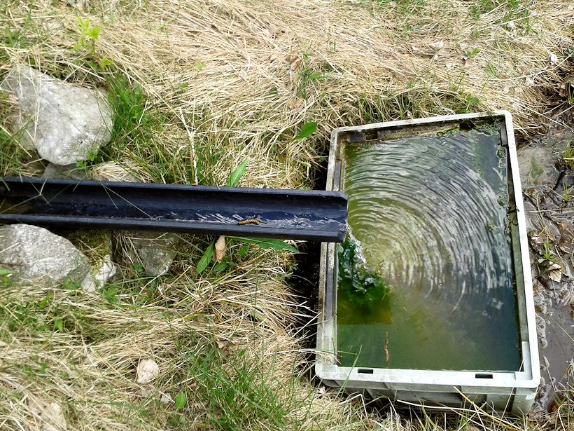 studánka Činov (10665)
