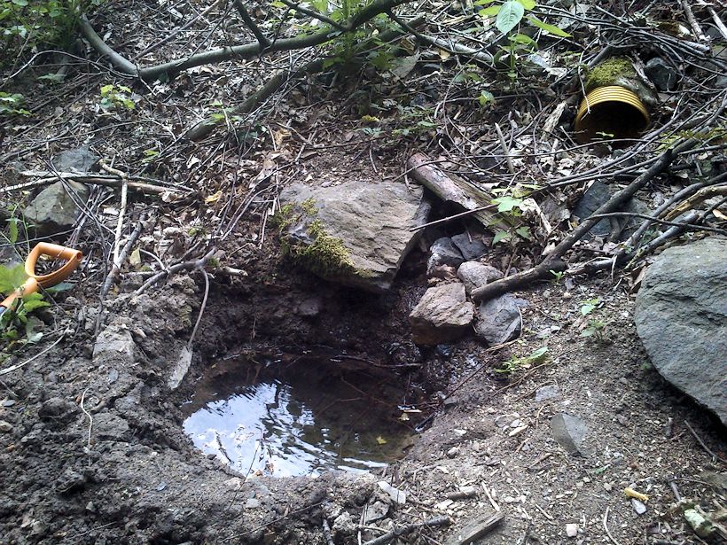 studánka Žlební (10668)