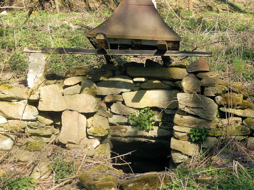 studánka bez jména (10670)