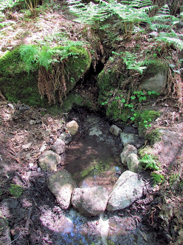 Hřivická studánka (10672)