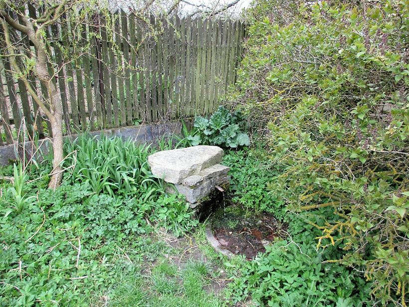 studánka U Hejtmánkova mlýna (10676)